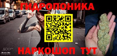 apvp Краснознаменск