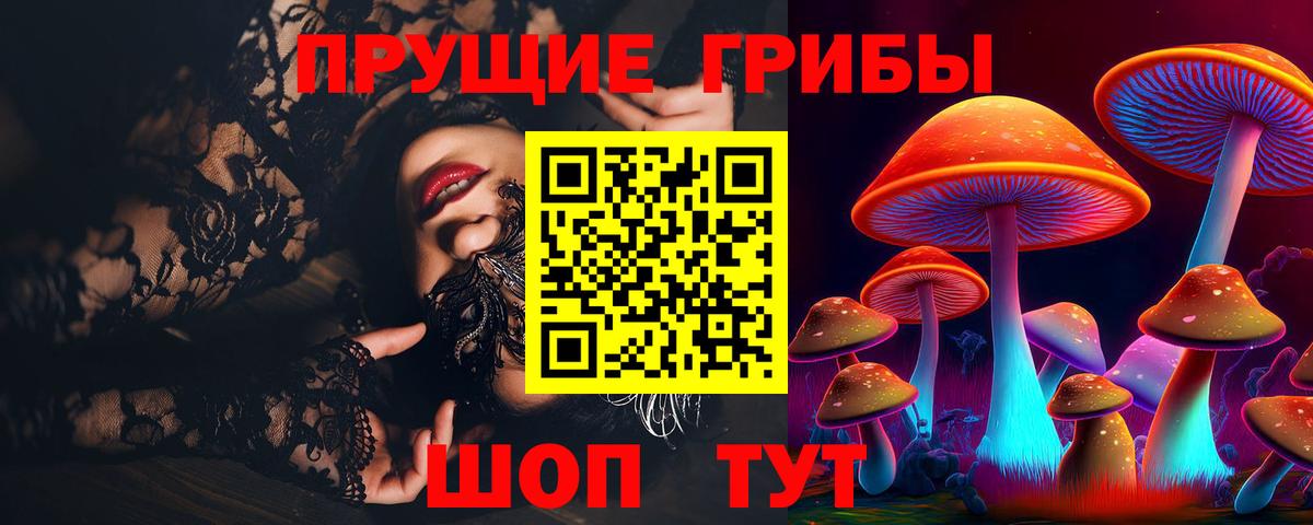 Галлюциногенные грибы Cubensis Кизилюрт
